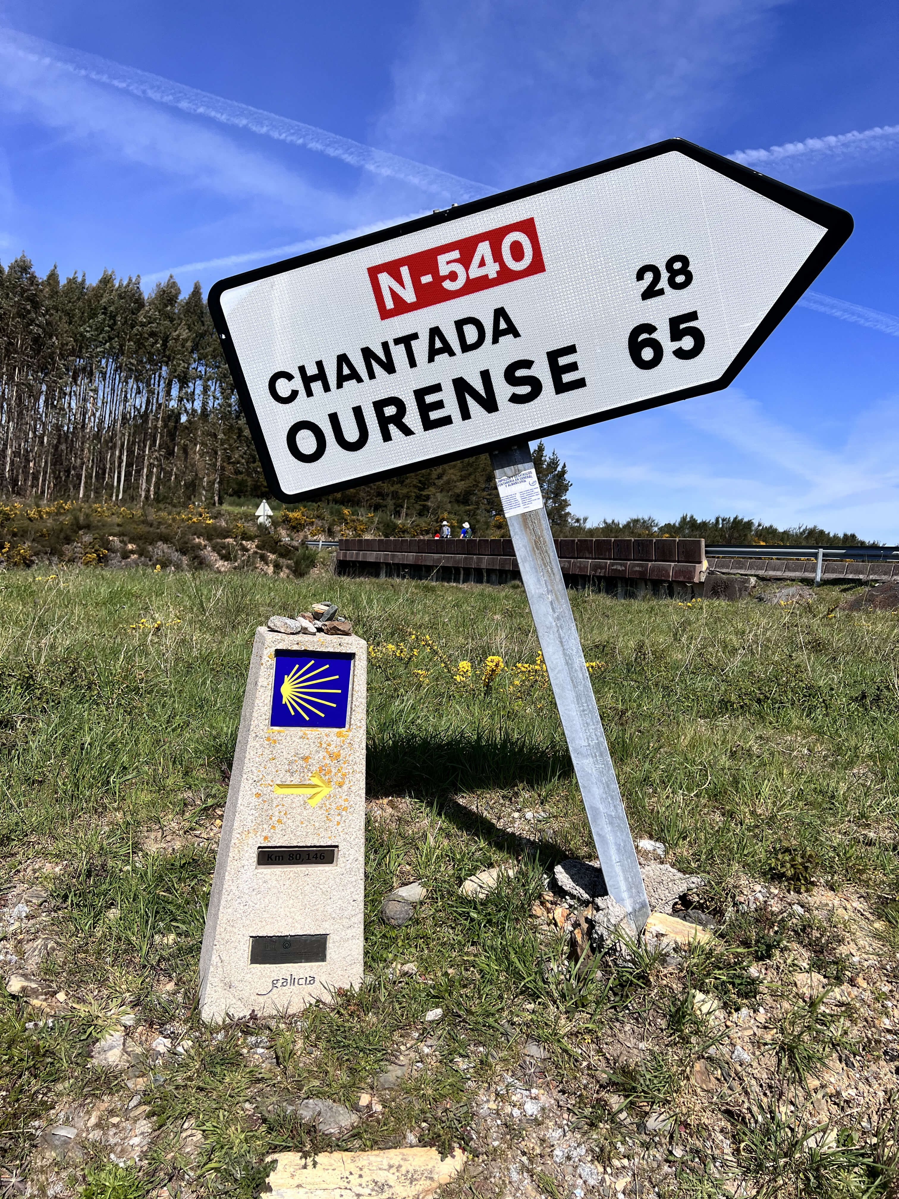 Camino de Santiago